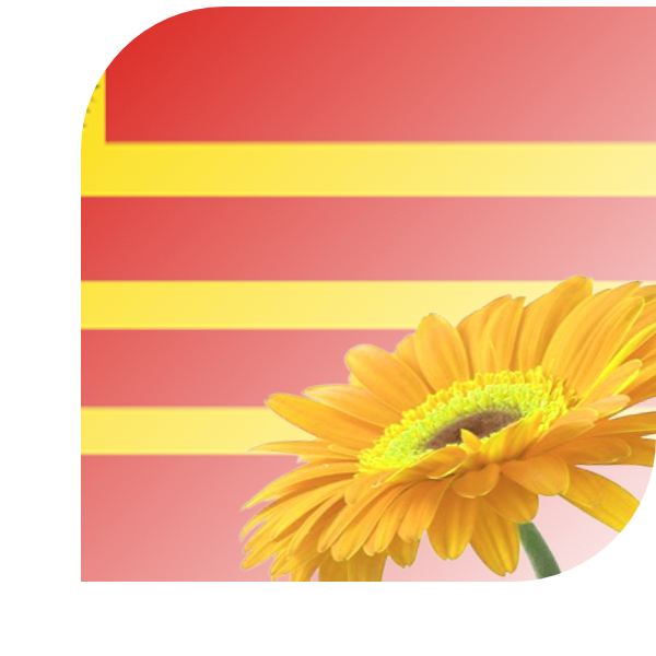 Bloemen Bezorgen Limbricht