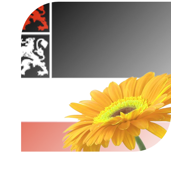 Bloemen bezorgen Uitgeest