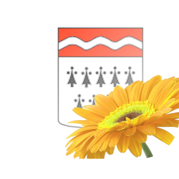 Bloemen bezorgen Yerseke