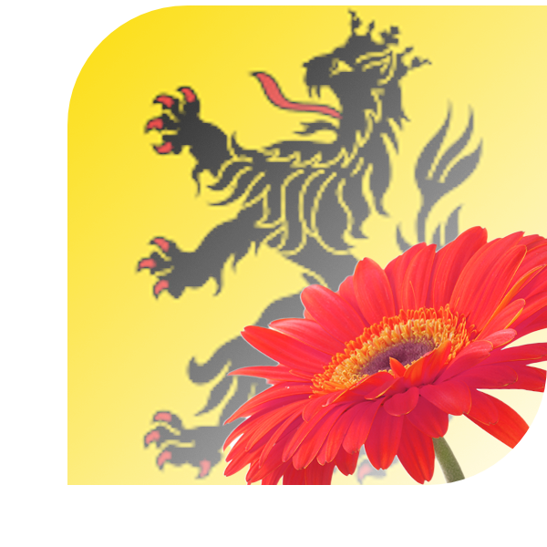 Bloemen Bezorgen Hulst