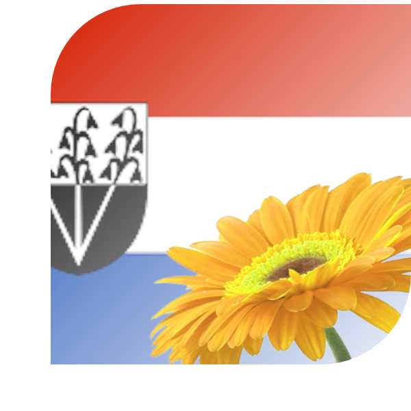 Bloemen Bezorgen Joure