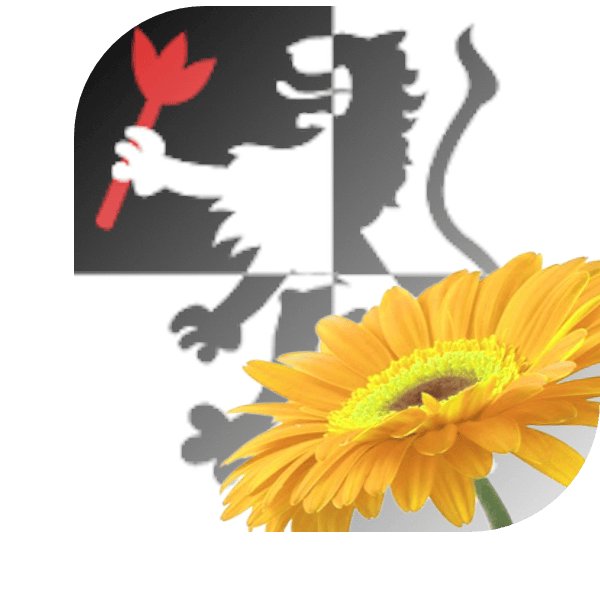 Bloemen Bezorgen Limmen