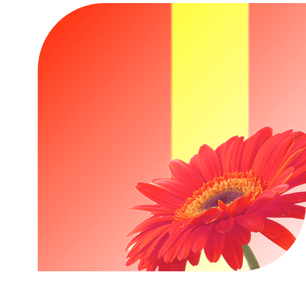 Bloemen bezorgen Ter Aar