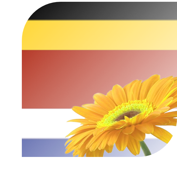 Bloemen bezorgen Stramproy