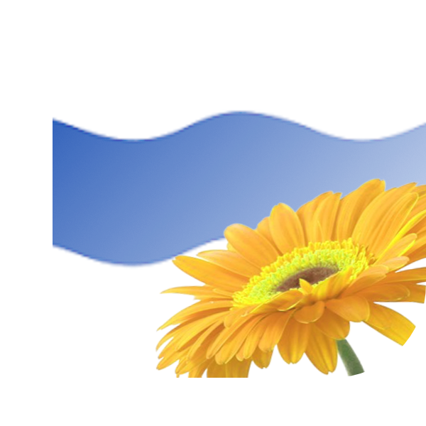 Bloemen Bezorgen Numansdorp
