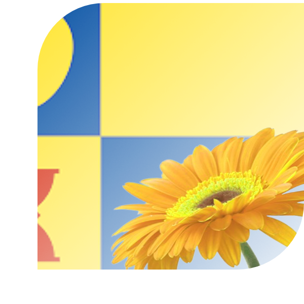 Bloemen bezorgen Geldrop