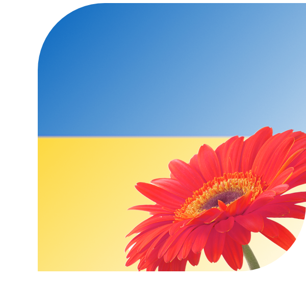 Bloemen bezorgen Valkenswaard