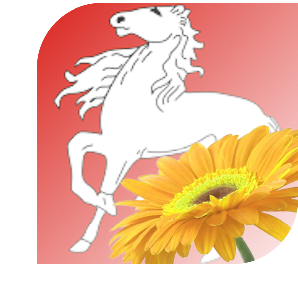 Bloemen bezorgen Assendelft