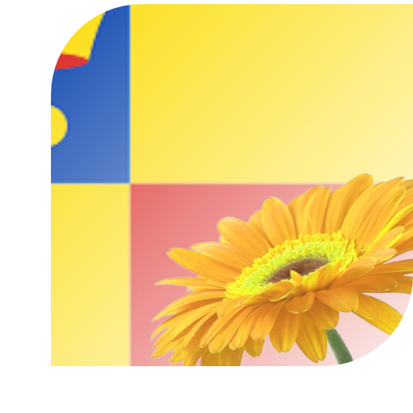 Bloemen bezorgen Beetsterzwaag