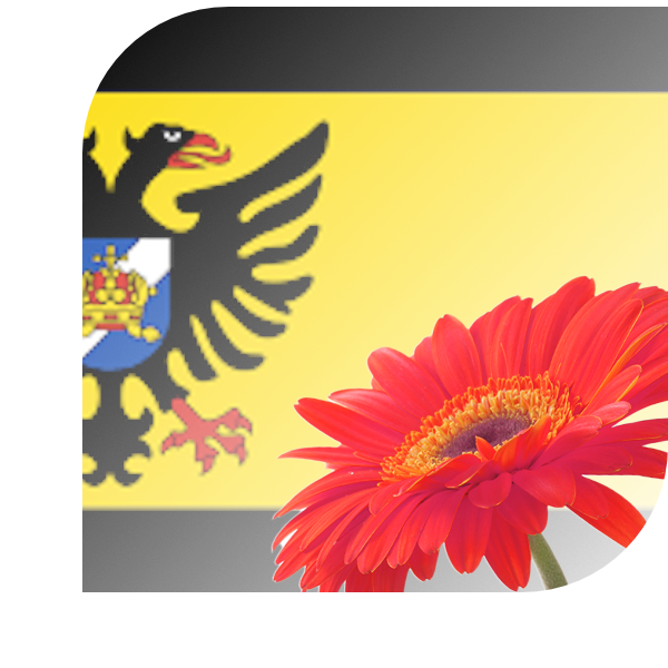 Bloemen bezorgen Bolsward