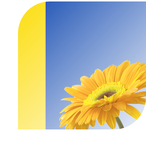 Bloemen bezorgen Uden