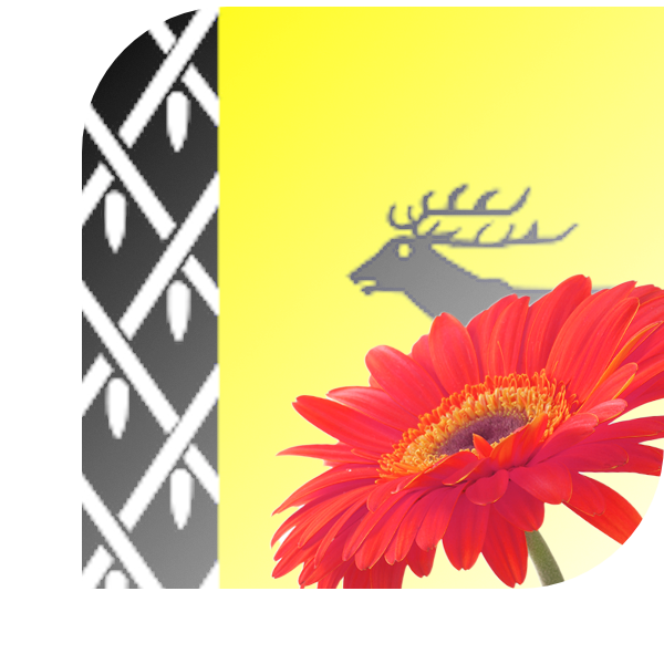Bloemen Bezorgen Nunspeet