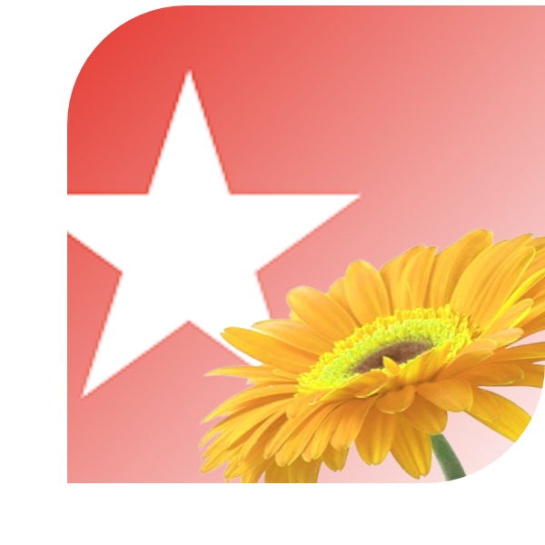 Bloemen bezorgen Maastricht