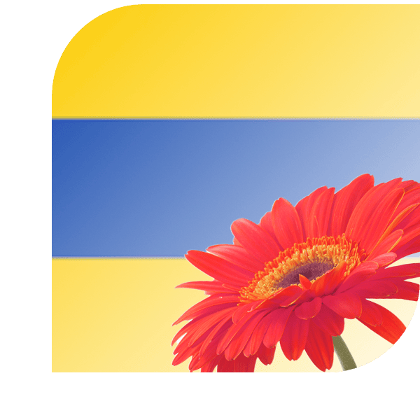 Bloemen Bezorgen Lisse
