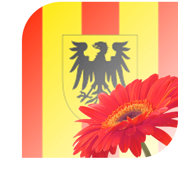 Bloemen Bezorgen Meerkerk