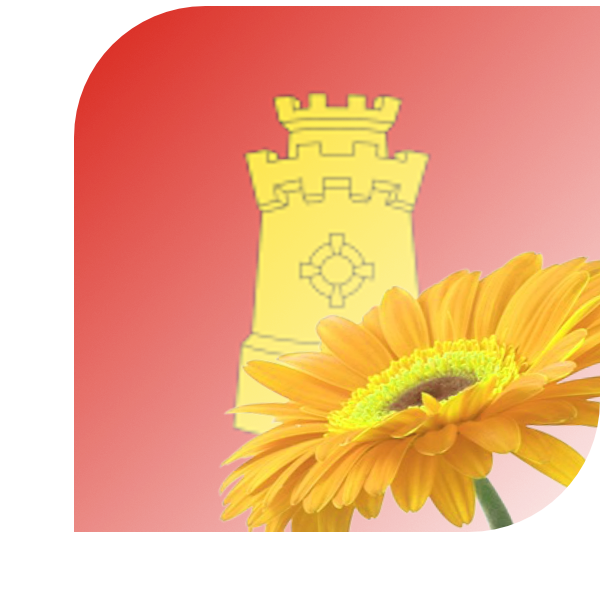 Bloemen Bezorgen Middelburg