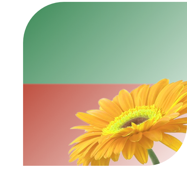 Bloemen bezorgen Swalmen