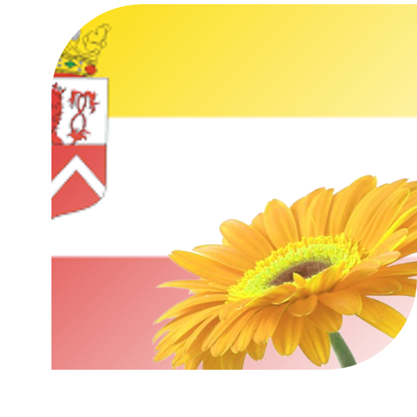 Bloemen Bezorgen Nuth