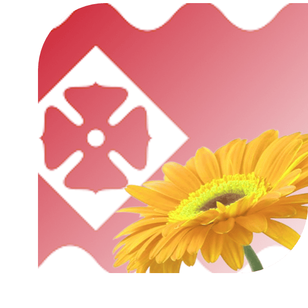 Bloemen Bezorgen Oudewater