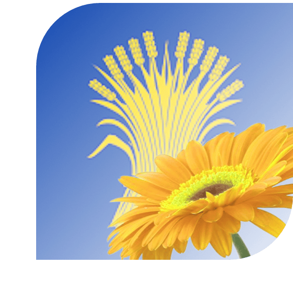 Bloemen Bezorgen Reusel