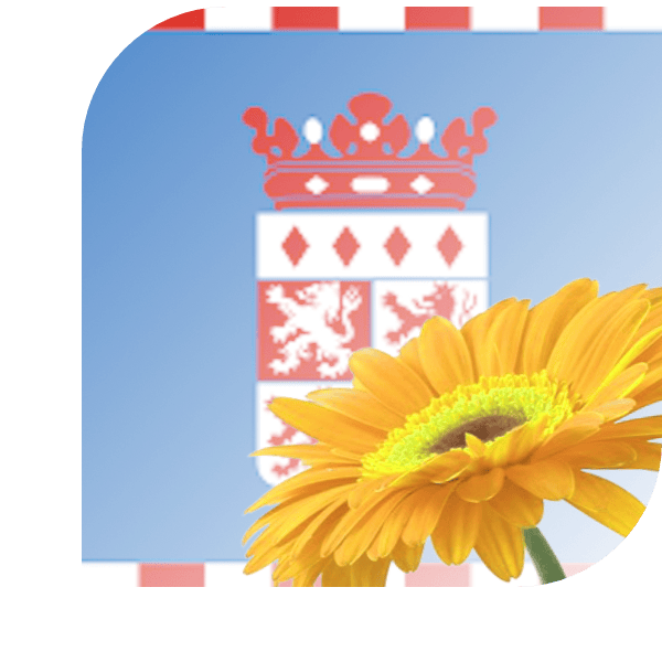 Bloemen bezorgen Veldhoven