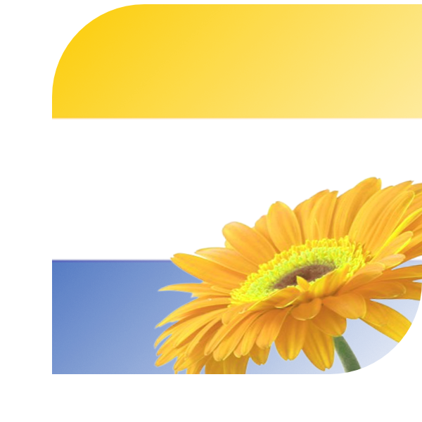 Bloemen Bezorgen Heerhugowaard