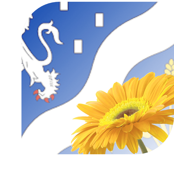 Bloemen bezorgen Badhoevedorp