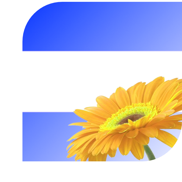 Bloemen bezorgen Zwammerdam