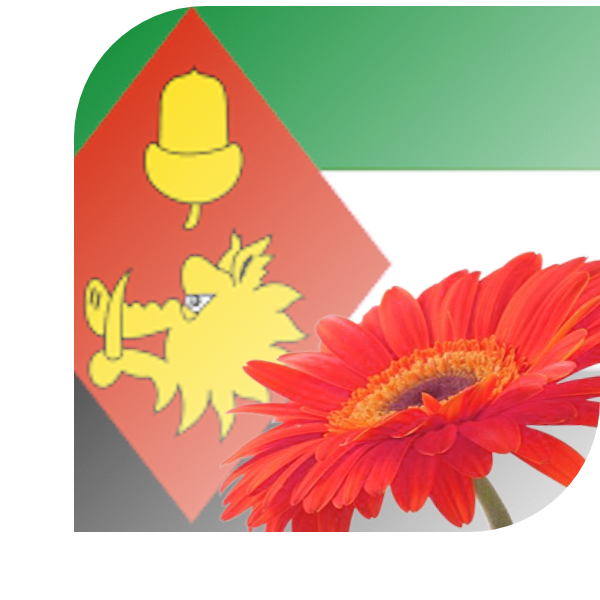 Bloemen Bezorgen Jutrijp