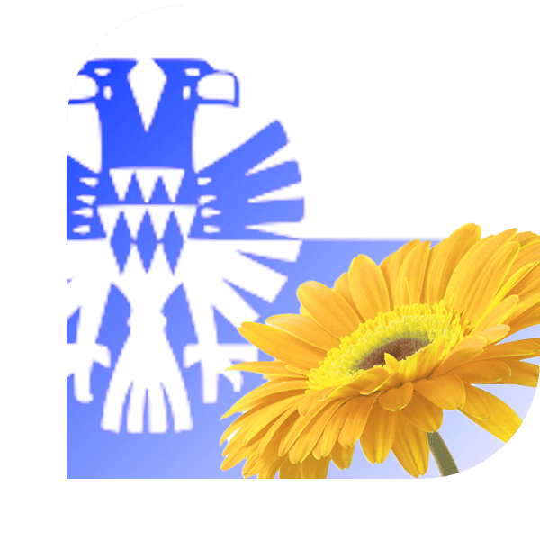 bloemen bezorgen Arnhem