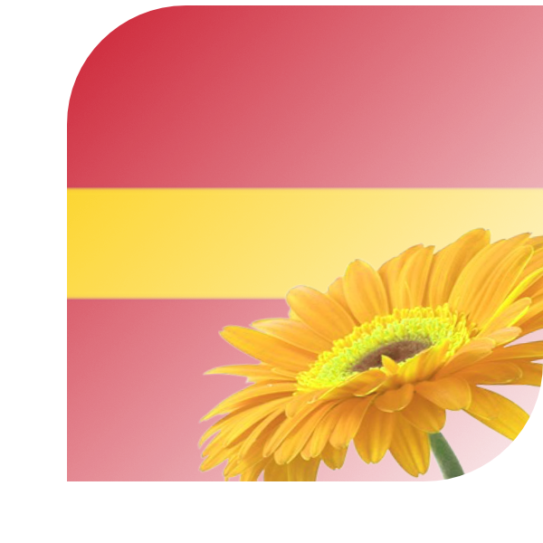 Bloemen bezorgen Bennebroek