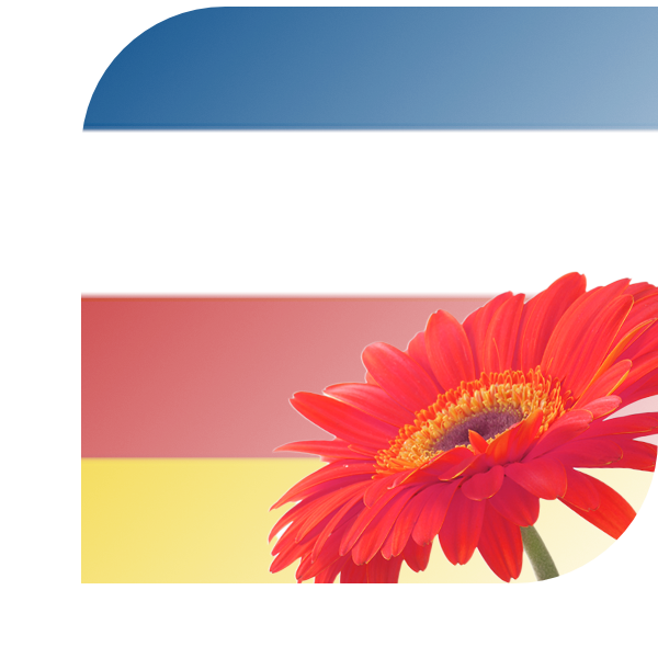 Bloemen bezorgen Dokkum