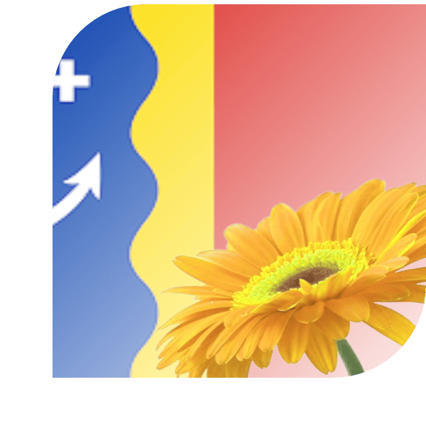 Bloemen bezorgen Maasbracht