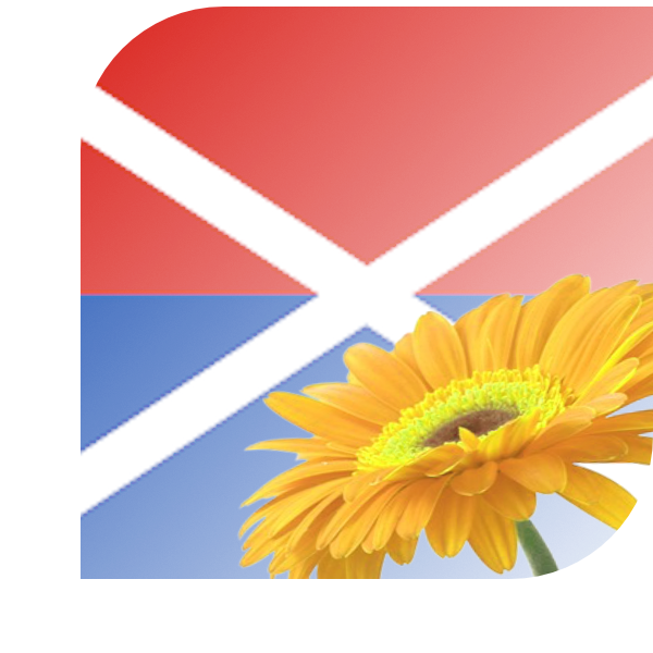 Bloemen bezorgen Tietjerk