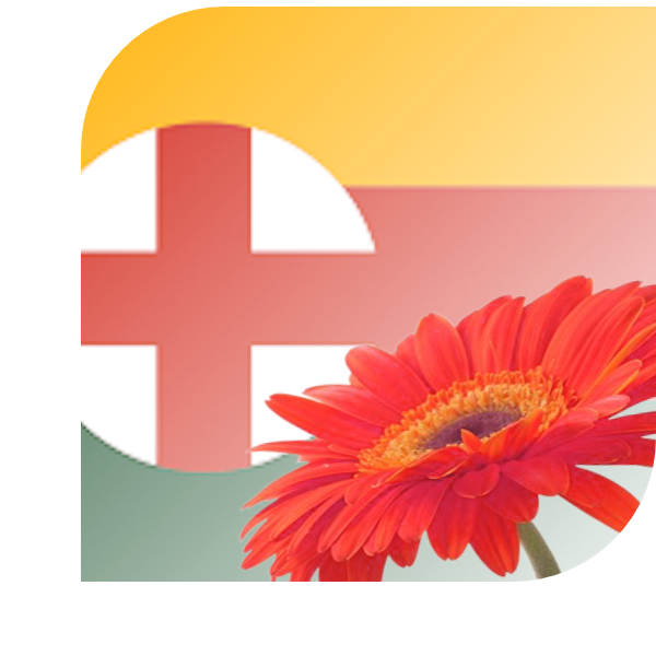 Bloemen Bezorgen Moergestel