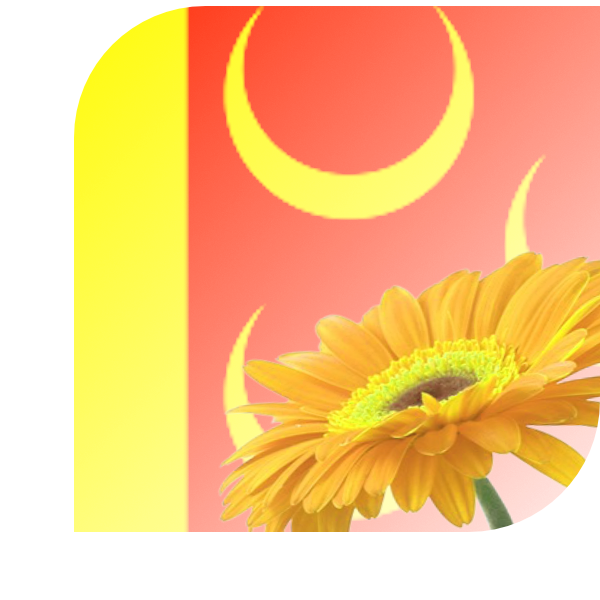 Bloemen Bezorgen Obdam