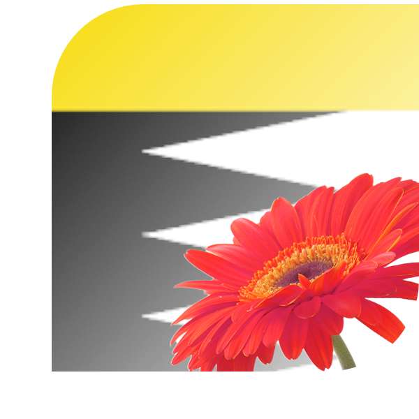 Bloemen Bezorgen Ouwerkerk