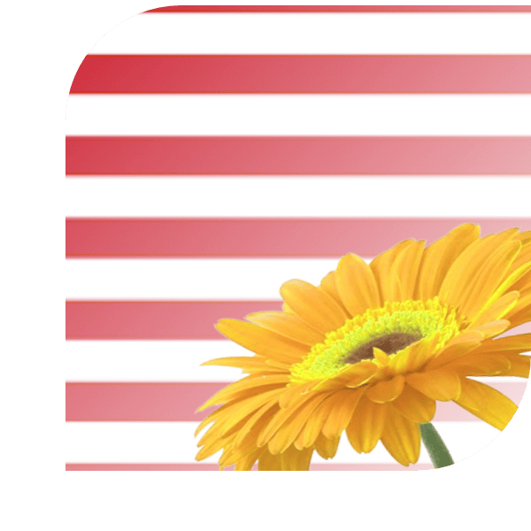 Bloemen bezorgen Goes