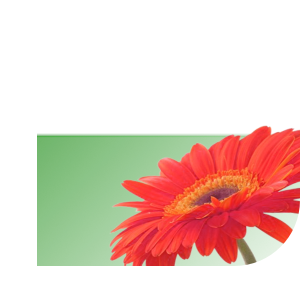 Bloemen bezorgen Ridderkerk