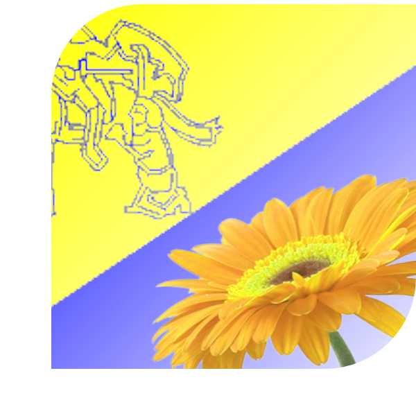 Bloemen Bezorgen Sint Maarten