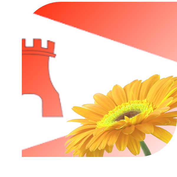 Bloemen bezorgen Etten-Leur