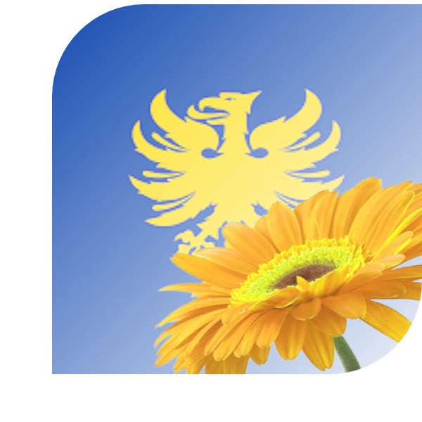Bloemen Bezorgen Heerlen
