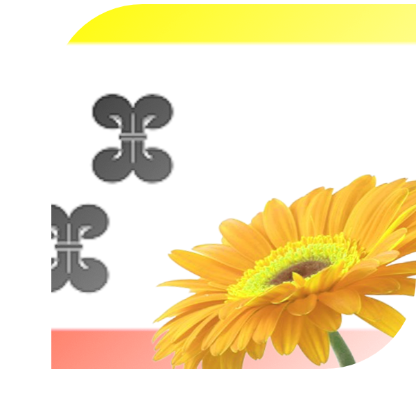 Bloemen bezorgen Vianen