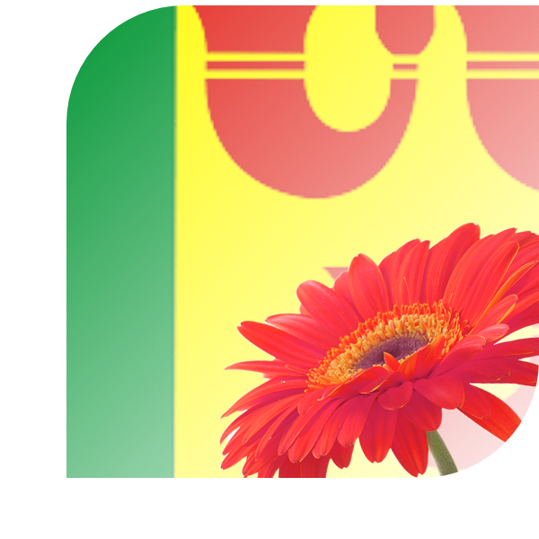 Bloemen Bezorgen Heeze