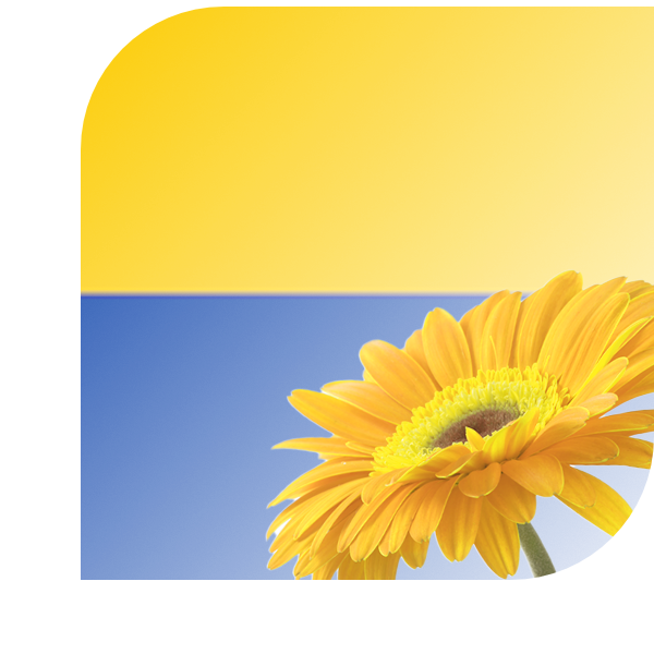 Bloemen bezorgen Bodegraven
