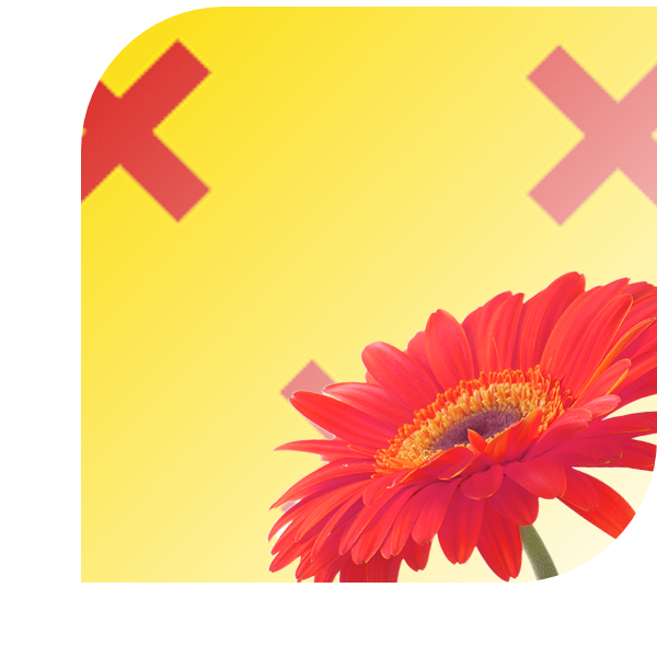 Bloemen Bezorgen Kamerik