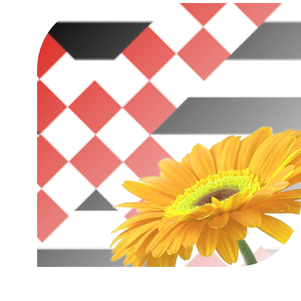 Bloemen Bezorgen Loosdrecht