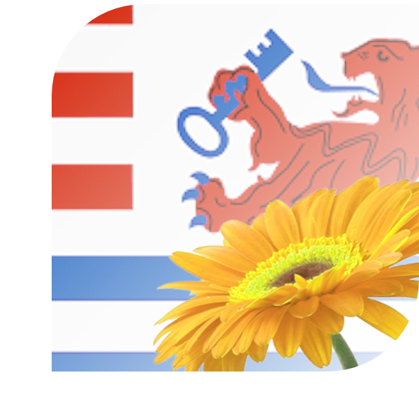Bloemen bezorgen Terneuzen