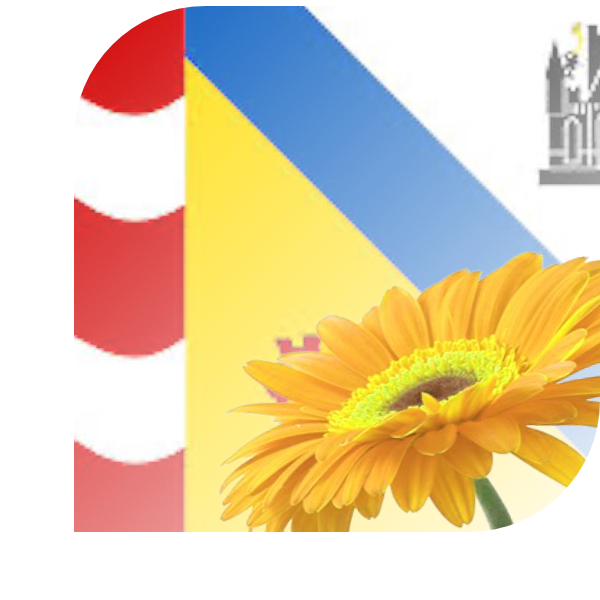 Bloemen bezorgen Sluis