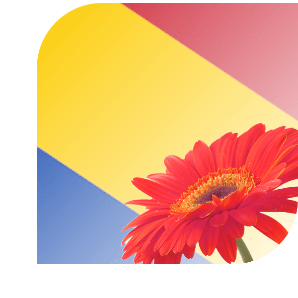 Bloemen Bezorgen Rheden